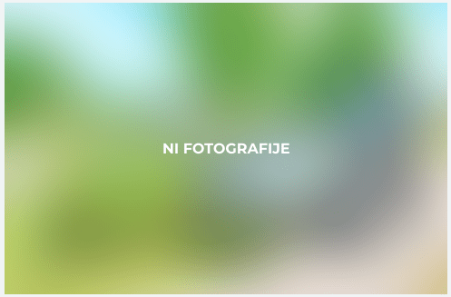 nifotografije